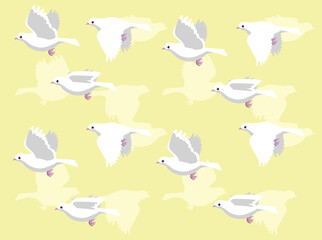 Wall Mural - White Dove Flying Set Vector Seamless Background Wallpaper-01