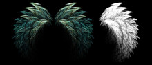 Wing Feathers Of Fantasy Creatures With Clipping Mask