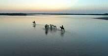 Aerial Panning Shot Of Men With Horses Wading In Sea During Sunset - Camargue, France