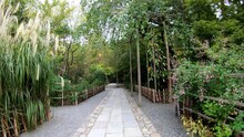 Video Walk Through The Garden Of The Temple Ryoan-ji. Kyoto. Japan