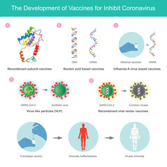 The Development of Vaccines for Inhibit Coronavirus. Illustration explain of vaccine developed for inhibit coronaviruses (SARS-CoV-2) by use method immunity in human body..