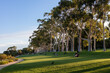 Perth, Australia; February 2020: Evening at the park with family and friends. People having picnic and resting. Kings park and botanical gardens, Perth, West Australia, Australia