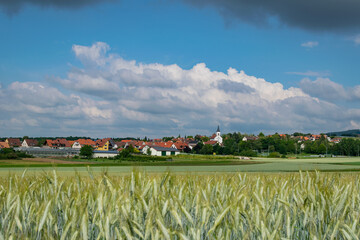 rural landscape with a house