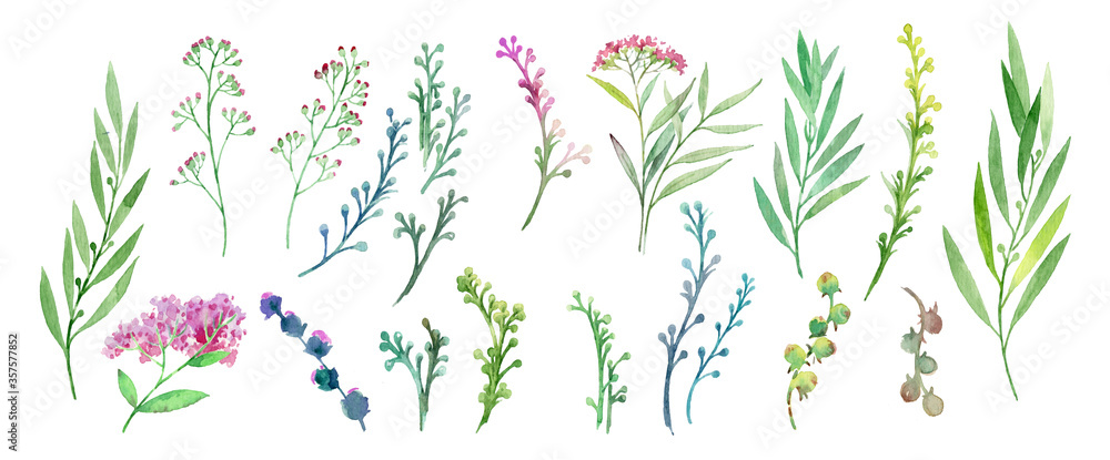 Flowers and plants. Set of plants. Visual elements on a white background. Plants drawn in watercolors. Set for creativity. Collection of flowers and herbs painted with watercolors. - obrazy, fototapety, plakaty 