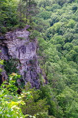 Wall Mural - view of cloudland canyon state park in georgia, usa