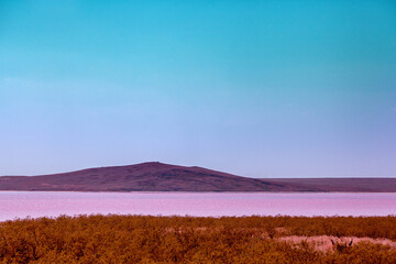 Wall Mural - Pink Lake in the steppe. Nature landscape, wilderness