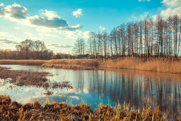 Wall Mural - Rural landscape. River in early spring. Beautiful nature