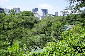 Poster - Nature in the urban place.