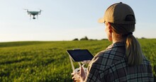 Close Up Of Rear Of Caucasian Woman Farmer In Hat Standing In Green Wheat Field And Controlling Of Drone Which Flying Above Margin. Female Using Tablet Device As Controller. Technologies In Farming.