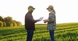 Caucasian man farmer standing in field with tablet device in hands and showing something to woman on screen. Couple of farmers in margin of green wheat making deal and shaking hands.