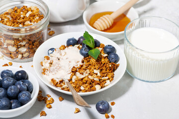 homemade coconut granola with blueberries and yogurt for breakfast