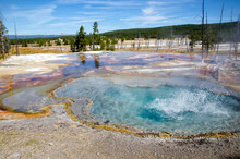 Firehole Spring Eruption On Firehole Lake Drive In Yellowstone National Park