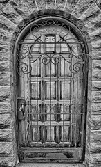 Wall Mural - Vertical grayscale shot of a gothic style door closed with a metal fence