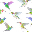 Watercolor tropical humminbird colibri birds seamless pattern.