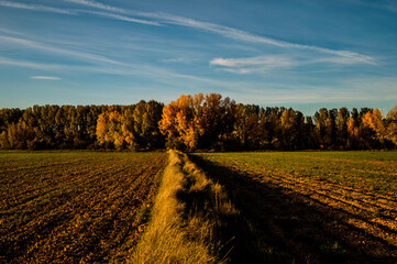 Carretera y naturaleza