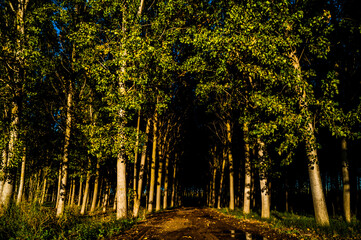 Carretera y naturaleza