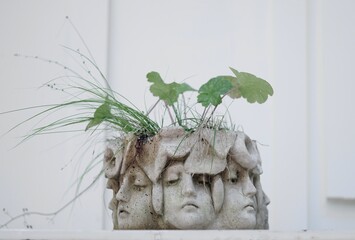 A flowerpot of many faces