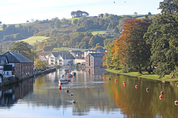 Sticker - trees reflected in the river dart at totnes