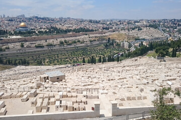 Wall Mural - View of the Temple Mount on the background of modern Jerusalem