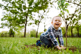 Fototapeta Dmuchawce - Little child  plants young tree. Fun little gardener. Spring concept, nature and care.
