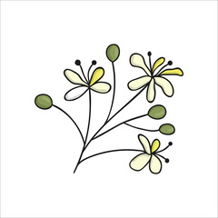 Wall Mural - Vector line linden tree element isolated on white background. Botanical illustration of linden flowers. Black and white clip art.