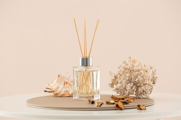 reed diffuser and sea shells on table in room