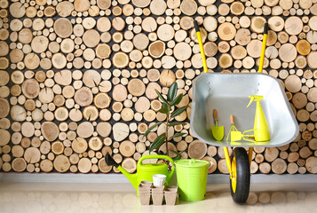 Wall Mural - Set of gardening supplies near wooden wall