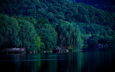 Poster - There is a bridge in the middle of the calm lake