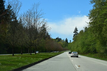 road in the forest