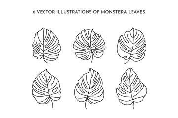 Set of Monstera leaf of tropical plants. Outline Palm leaf In a Trendy Minimalist liner Style. Vector Illustration.