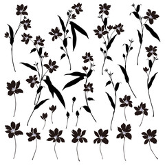 Wall Mural - Vector illustration material of a beautiful flower,