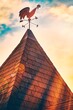 © allme - Weather vane, wind vane, wind rooster, weathercock or wind direction tool on the roof