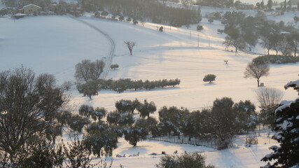 Poster - Paesaggio innevato