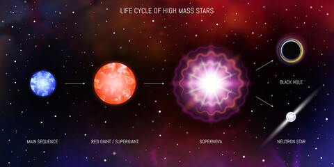 Wall Mural - life cycle of massive stars. blue giant, red giant, supergiant, supernova, black hole, neutron star.
