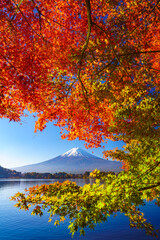 Fototapete - Mountain fuji with red maple in Autumn, Kawaguchiko Lake, Japan