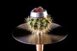 © Yehor Serdiuk - cactus hookah with cloud filled with hot coals