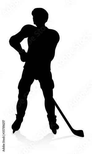 A detailed silhouette ice h...