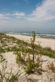 Fototapeta Fototapety z morzem do Twojej sypialni - Bałtycka plaża 