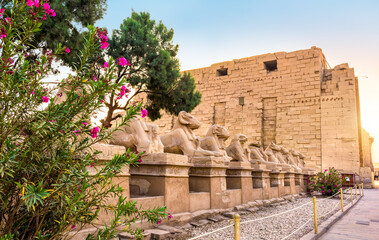 Poster - Sphinxes and flowers