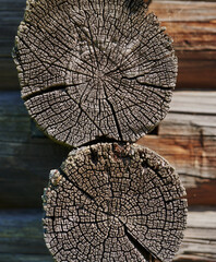 Wall Mural - Dark wood texture background surface with old natural pattern