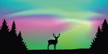 Wildlife Deer On Aurora Borealis Polar Lights Background Vector Illustration EPS10