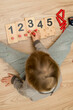© Birute - Baby sitting on the floor and inserting sticks in the right wooden cards with numbers. Educational calculate game teaching to develop. Intellectual kid math toy. Number Game Board.