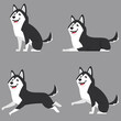 Siberian husky in different poses. Beautiful dog in cartoon style.