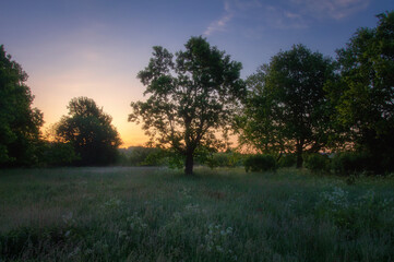 Wall Mural - Natural lanscape. Early morning. Sunrise above meadow and forest. Red sky on horisint.