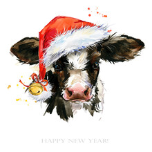 Cute Watercolor Calf. Baby Bull Illustration. Cattle. Farm Animal. 