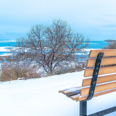 Wall Mural - Square crop Magnificent scenery at the Utah Lake with an empty bench on the snowy terrain