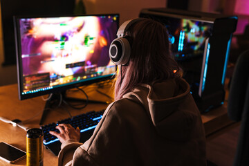 Wall Mural - Image from back of girl playing video game on personal computer