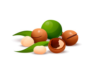 Sticker - Macadamia nut composition, raw and hulled kernels