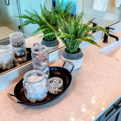 Square crop Potted fern and tray with jars between two sinks with black faucet over cabinets