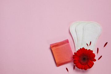 menstrual sanitary cotton pads and red flower isolated on pink background, copy space, top view.